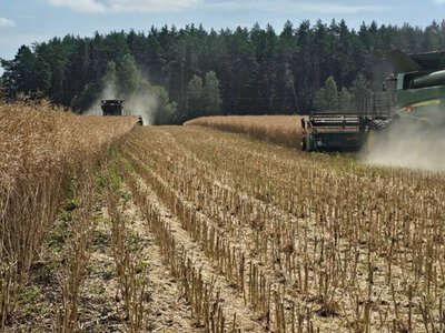 Погода в Україні: антициклон принесе тепло до +25°С