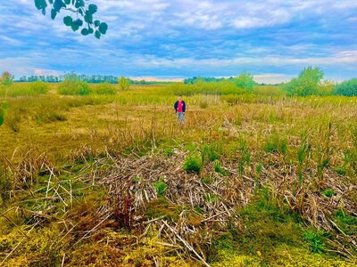 На Шумщині повністю висохли три озера