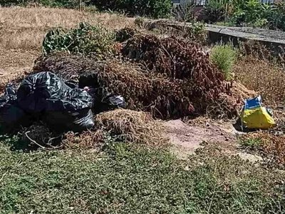 У Корабельному районі Херсона виявили велике сміттєзвалище
