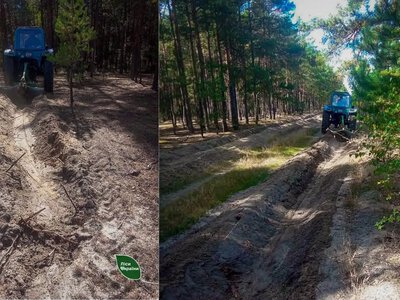 На Рівненщині кількість лісових пожеж зменшилася утричі: облаштували 1,7 тисячі км мінсмуг
