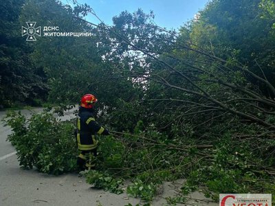 Поблизу одного з сіл Житомирського району дерево впало на дорогу та перекрило рух транспорту