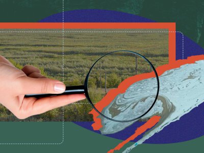 Найбільші втрати природи: які випадки в Україні можна назвати екоцидом