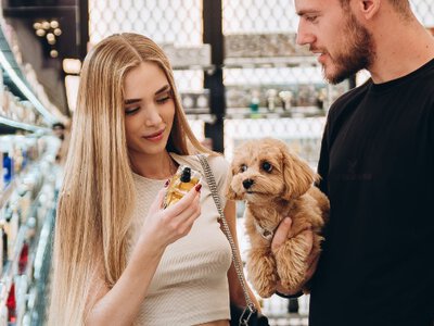Як не дати інфоприводу згаснути: PR-кейс BROCARD Beauty Garden