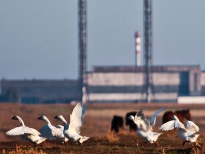 «Попереду – колапс або повільна деградація»: як українські дрони зупинили великий бізнес у Криму