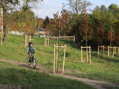 Львівські парки продовжують обробляти від кліщів: графік