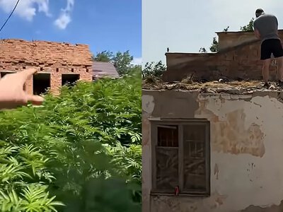 Купили хату за $55 тисяч, а потім не повірили своїм очам: що знайшли всередині 
