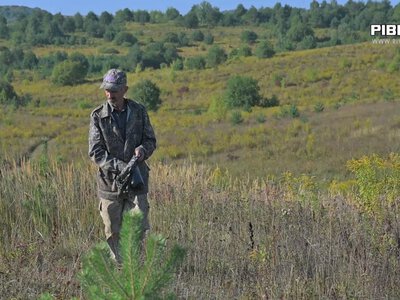 37 випадків з початку року: як на Рівненщині захищають тварин від смертельного сказу (ВІДЕО)
