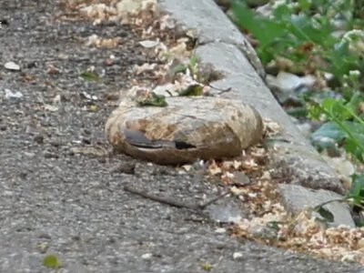 У Херсоні чоловік підірвався на вибухівці, втратив кисть руки та отримав опіки