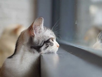 Ідеальне тепло перед негодою: де завтра прогріє до +26°С і коли все різко зміниться