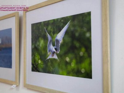 «Птахи Долини Троянд»: у Черкасах відкрили виставку фоторобіт Анни Алабіної 