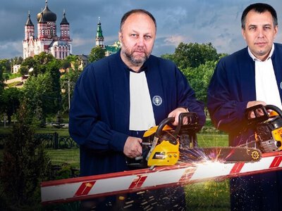 Дерева порізали, паркан знесли: що відбувається навколо ділянок суддів біля Феофанії