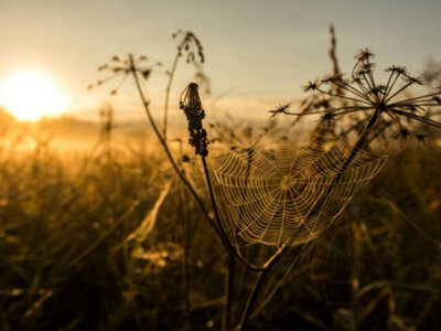 Сьогодні на Буковині прогнозують до 27° тепла