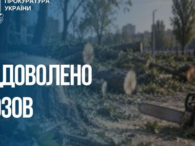 Збитки на шість мільйонів гривень: на Запоріжжі незаконно зрубали понад 1200 дерев