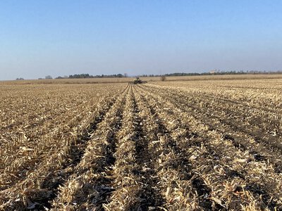 Технологія strip-till: чому аграрії змінюють підходи