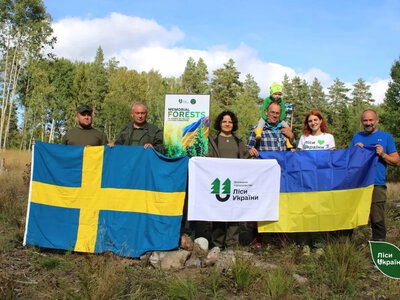 У Швеції висадили перший «Ліс пам’яті» на честь українських лісівників-захисників