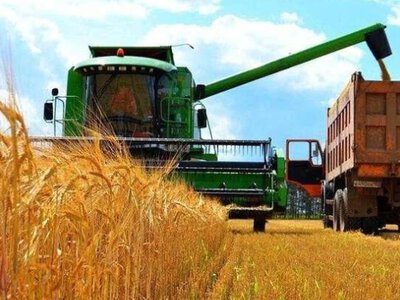 Урожайність — не все: аграріям назвали головний принцип на наступні 10 років