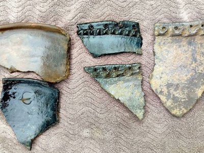 На обмілілому березі Дністра на Буковині знайшли давню кераміку та кістку мамонта
