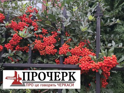Черкащину накриє хвиля холоду: коли зміниться погода