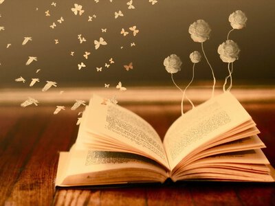 У Сінгапурі платитимуть людям за читання книг, щоб боротися з думскролінгом
