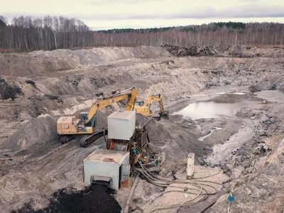 На Рівненщині сім бурштинових ділянок виставили на аукціон за 44 млн грн