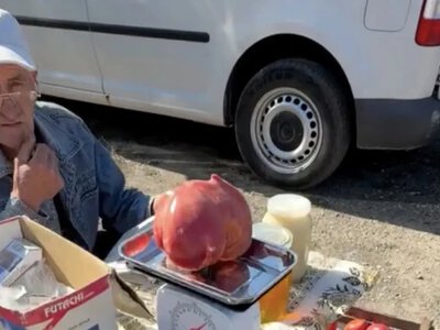 Українець виростив помідор-гігант на 1,2 кг і здивував мережу його вартістю (ФОТО) 