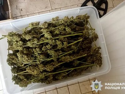 Жителя Вараша засудили до дев’яти років ув’язнення за збут наркотиків, боєприпаси та бурштин