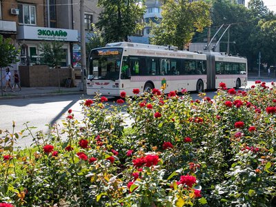 Зміни у роботі тролейбусів: у Запоріжжі зупинять два маршрути