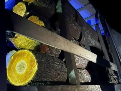 Поблизу Дубна патрульні зупинили вантажівку з деревиною без документів