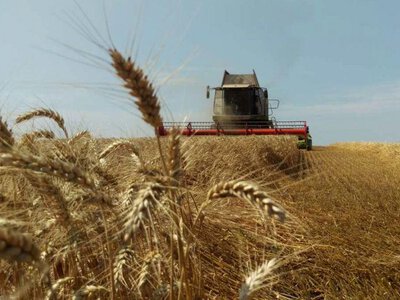 Аграрії з прифронтових регіонів подали понад 2,3 тисячі заявок на отримання рукавів для зберігання врожаю