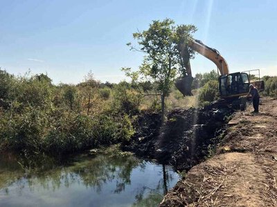 Бобри заблокували Верке: у Берегові екстрено рятували головний канал міста