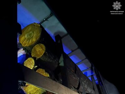 Поблизу Дубна зупинили вантажівку з деревиною без бирок та документів