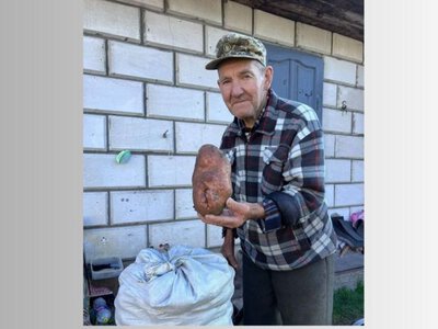 Житель Пульма викопав картоплину вагою понад кілограм