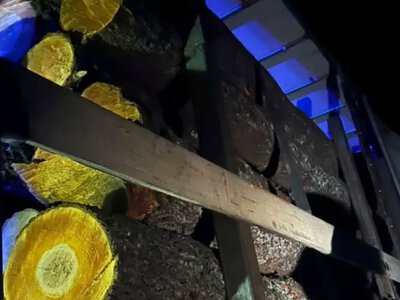 Поблизу Дубна патрульні зупинили вантажівку з деревиною без документів