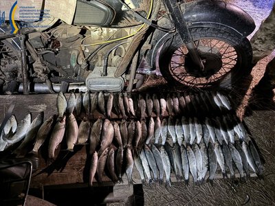 Черговий браконьєр на Миколаївщині – на Тилігульському лимані чоловік незаконно наловив кефалі на понад 131 тис.грн. (ФОТО)