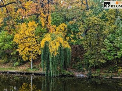 Синоптики розповіли, якою буде погода 19-20 вересня на Житомирщині
