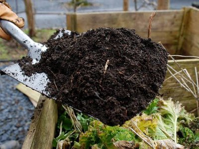 Куди вносити компост восени в першу чергу: 5 головних зон для врожаю - Simya