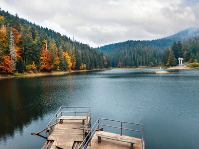 Вересневий відпочинок у Закарпатті: терми, виноробні та місцева кухня