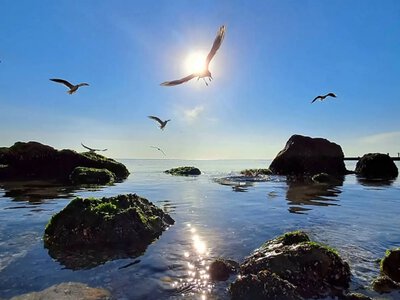 Море на популярних пляжах Одеси перевірили: що показали аналізи