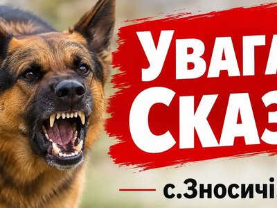 У селі на Рівненщині оголосили карантин через сказ у домашньої тварини