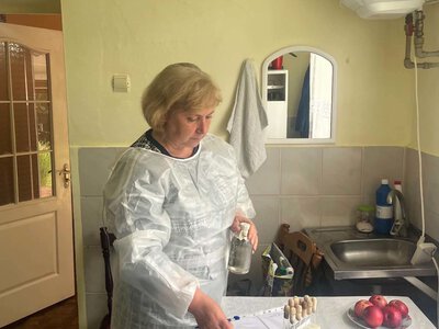 У дитячих закладах Закарпаття провели термінові перевірки на небезпечні бактерії: перші подробиці