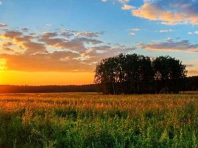 Від +6° вночі до +28° вдень: якою буде погода на Закарпатті