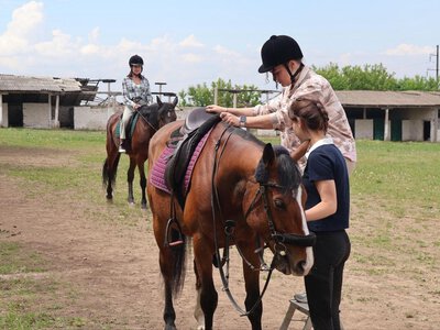 Як у Мирогощі вчаться розуміти коней
