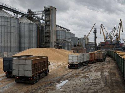 Крадене зерно застрягло в азовських портах: з якою проблемою зіштовхнувся Кремль