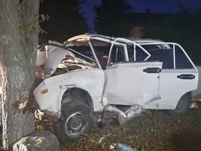На Вінниччині автівка врізалась у дерево - двоє хлопців у лікарні