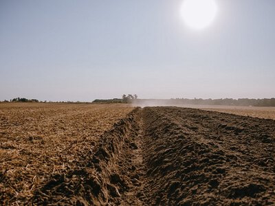 Погода в Україні: прогноз на 19 вересня