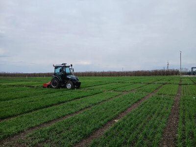 Адаптоване насінництво: відповідь агросектору на виклики