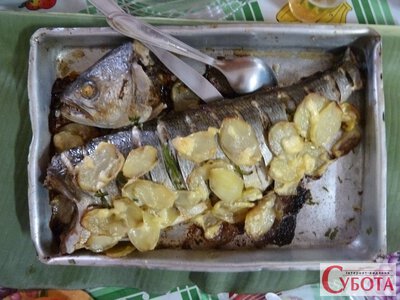 Одне яблуко — під рибу, друге — в соус: так скумбрію ви, можливо, ще не запікали