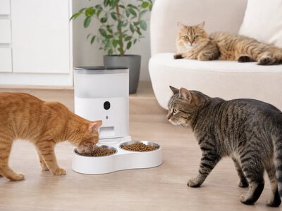 Petlibro представила годівниці Granary 2 з ШІ-камерою для котів