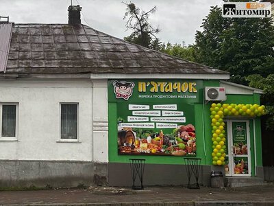 «Ну чого ви дочепилися?»: житомиряни стали на захист «П’ятачків» після критики зелених фасадів