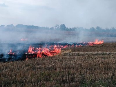 Нa Вінниччині пожежa в сараї ледь не перетоврилaсь у стихійне лихо